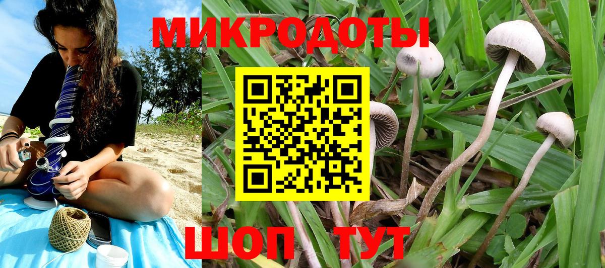 Псилоцибиновые грибы ЛСД Курчалой