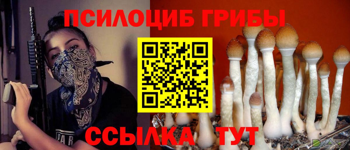 Псилоцибиновые грибы Cubensis  где можно купить наркотик  Курчалой  Вход с VPN  Галлюциногенные грибы мухоморы 